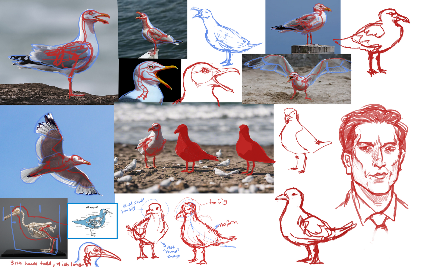 Seagull Studies (+ David Muir, for some reason. It was late. I don't question these things.)